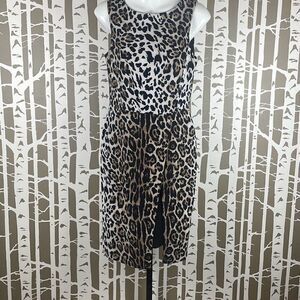 Cato Leopard Print Sheath Dress NEW 6
